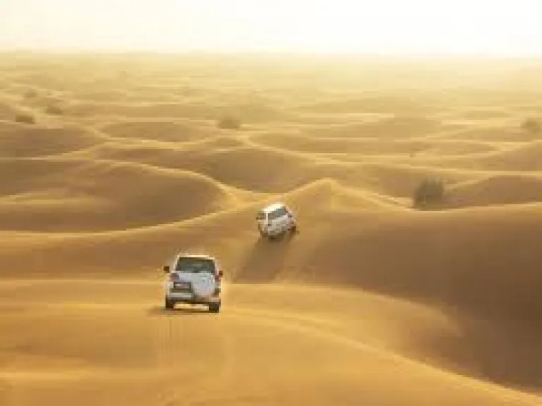 How to Select the Best Desert Safari in Dubai to Enjoy the Place